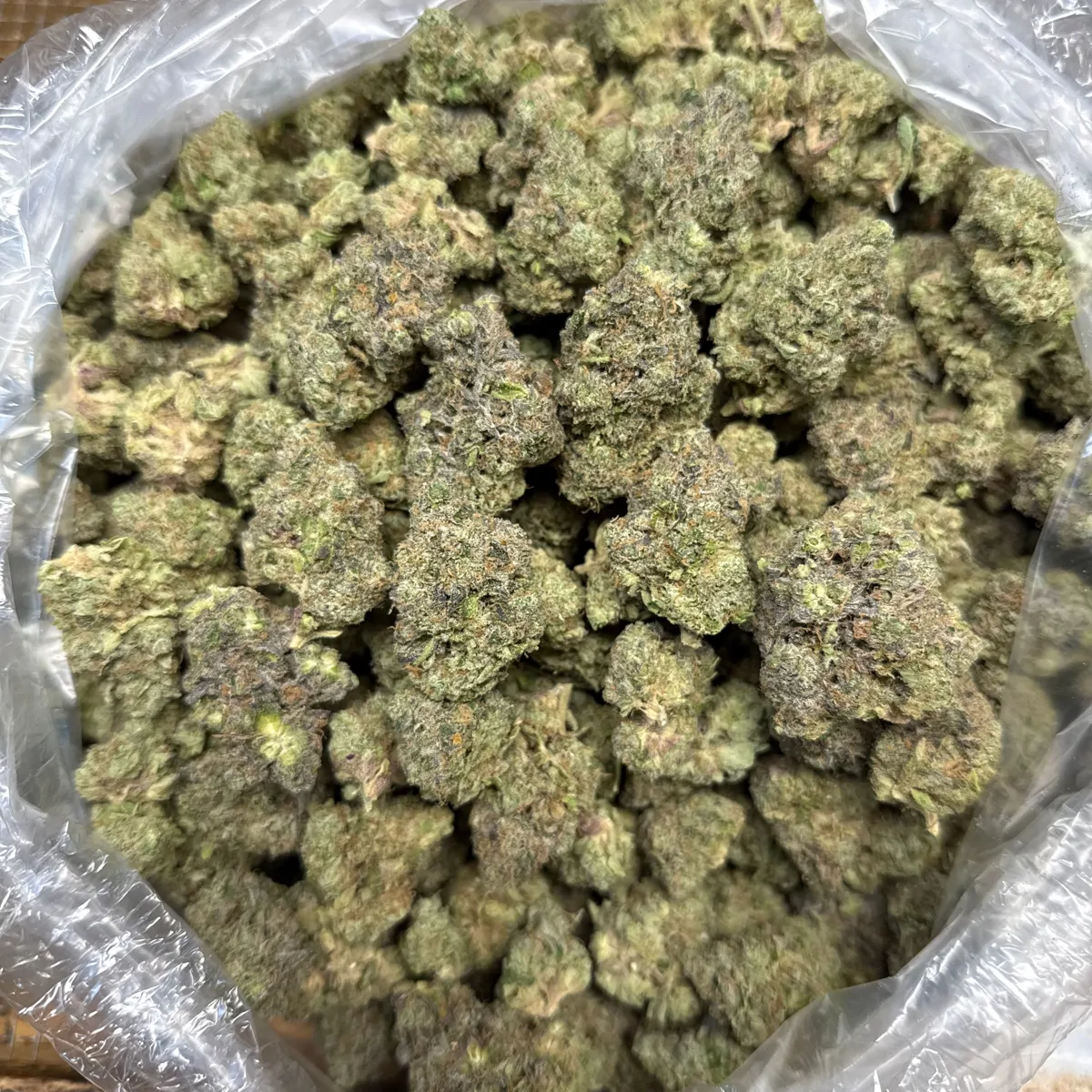 Scissor Queen Flower